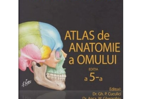 Atlas de anatomie a omului Netter (editia a 5-a)