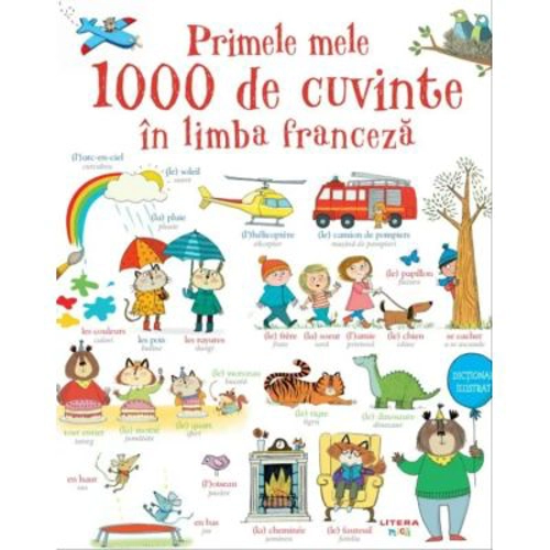 Primele mele 1000 de cuvinte in limba franceza
