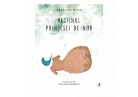 Destinul Printesei de Nor - Catalina Miciu (Ilustratii de Cristina Barsony)