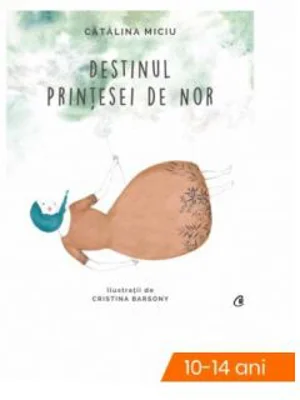 Destinul Printesei de Nor - Catalina Miciu (Ilustratii de Cristina Barsony)