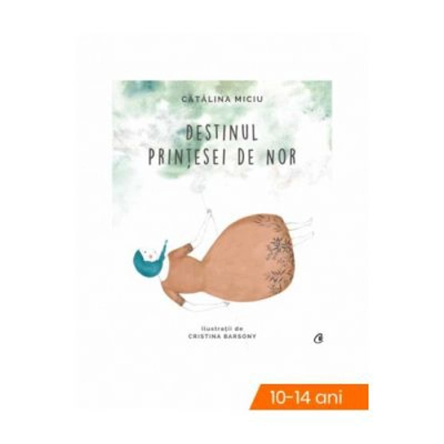 Destinul Printesei de Nor - Catalina Miciu (Ilustratii de Cristina Barsony)