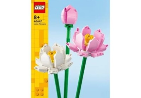 LEGO Iconic. Flori de lotus 40647, 220 piese