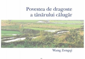 Povestea de dragoste a tanarului calugar - Wang Zengqi