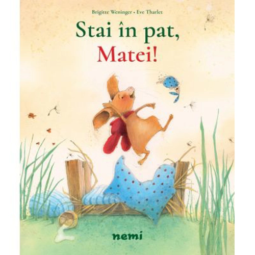 Stai in pat, Matei!