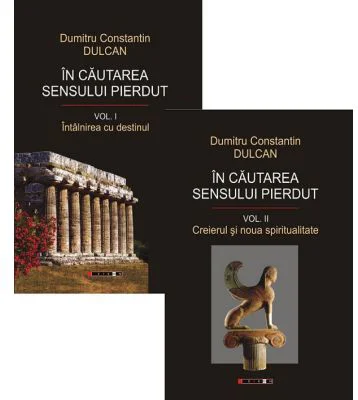 In cautarea sensului pierdut. Volumele 1-2 - Dumitru Constantin Dulcan