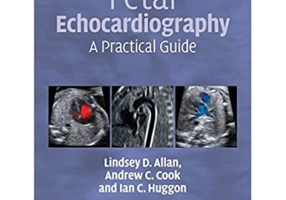 Fetal Echocardiography: A Practical Guide - Lindsey D. Allan, Andrew C. Cook, Ian C. Huggon