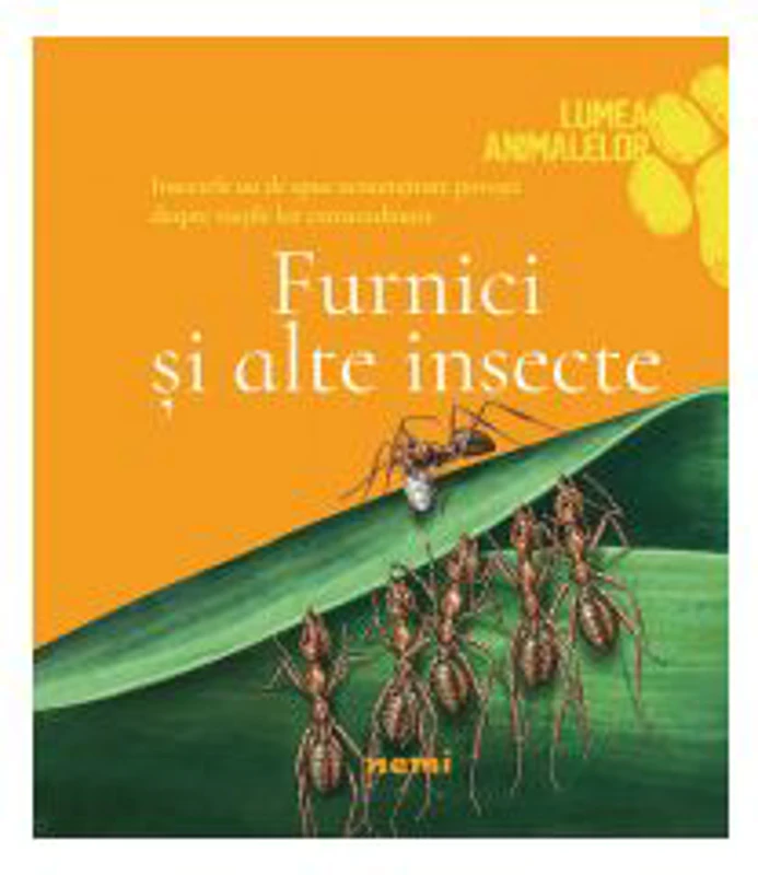 Furnici si alte insecte