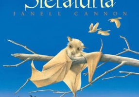 Stelaluna - Janell Cannon