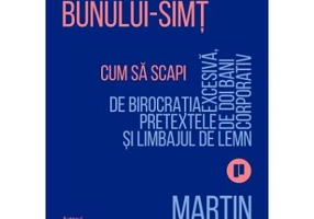 Ministerul Bunului-simt - Martin Lindstrom