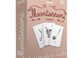 Carti de joc Montessori. Vocabular. Ustensile si unelte