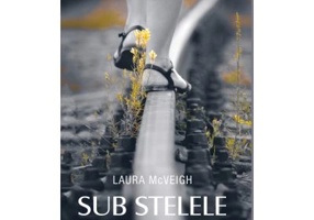 Sub stelele tacute - Laura McVeigh