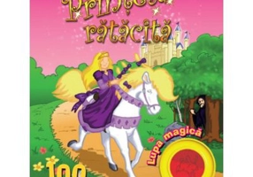 Aventuri surprinzatoare. Printesa ratacita