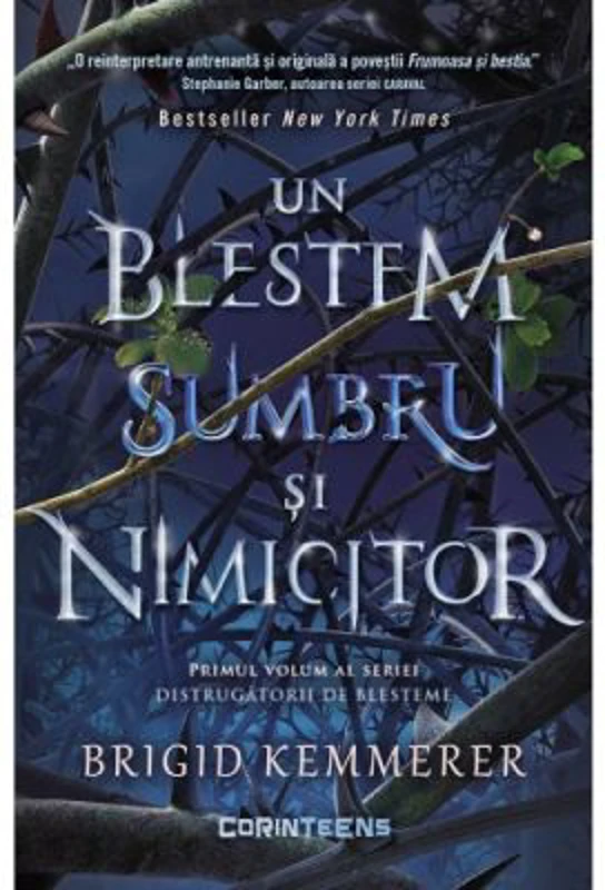 Un blestem sumbru si nimicitor. Volumul 1, seria Distrugatorii de blesteme - Brigid Kemmerer