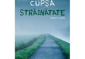 Strainatate - Augustin Cupsa