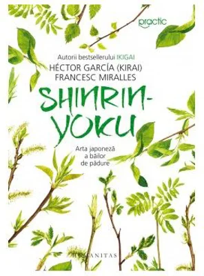 Shinrin-yoku. Arta japoneza a bailor de padure