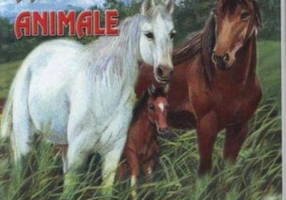 Familii de animale - pliata