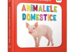 Animalele domestice. Bebe Cunoaste
