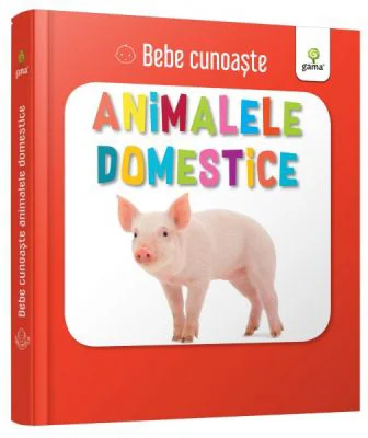 Animalele domestice. Bebe Cunoaste
