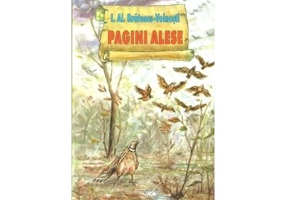 Pagini Alese (Bratescu Voinesti)