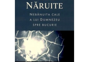 Vise naruite. Nebanuita cale a lui Dumnezeu spre bucurie - Larry Crabb
