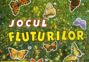 Jocul fluturilor - I. Nicolau