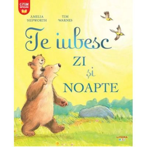 Te iubesc zi si noapte