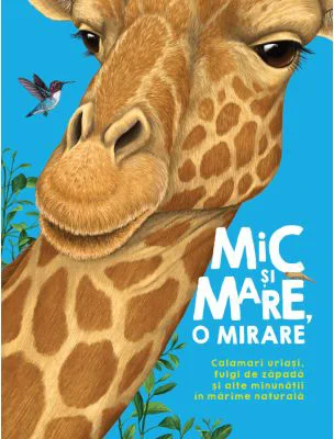 Mic si mare, o mirare