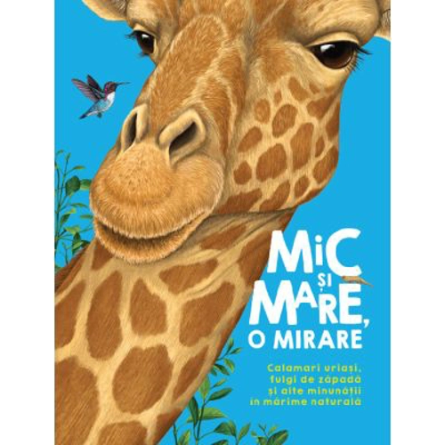 Mic si mare, o mirare