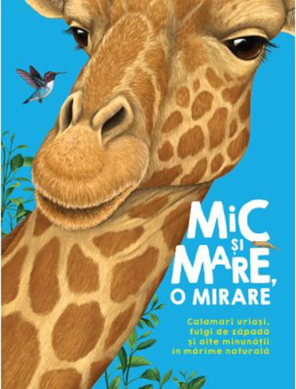 Mic si mare, o mirare