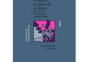 Prinde-i inainte de a cadea. Noi abordari in tratamentul prabusirii psihice - Christopher Bollas