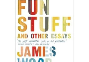 The Fun Stuff and Other Essays - James Wood