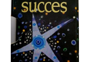 Drumul spre succes. Editia II