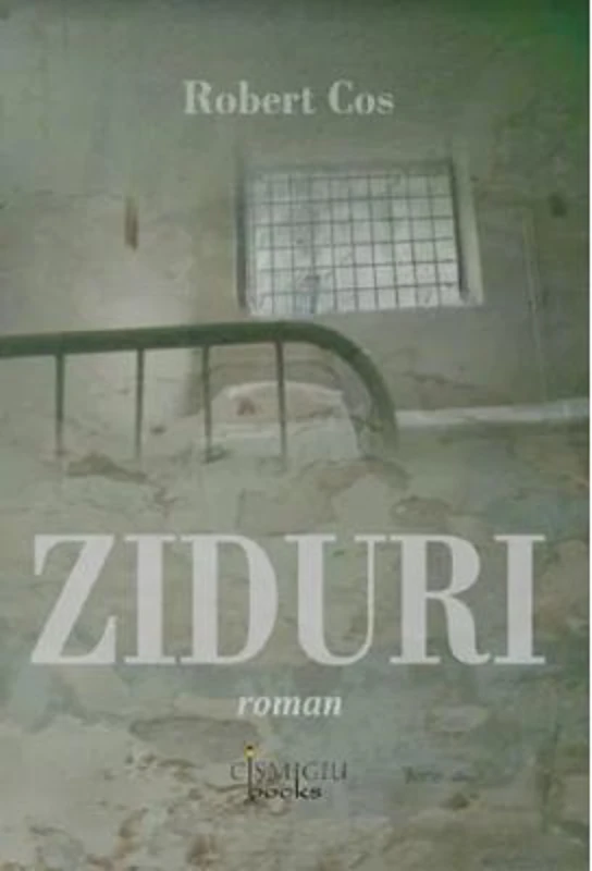 Ziduri - Robert Cos