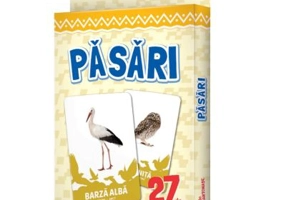 27 de cartonase. Pasari