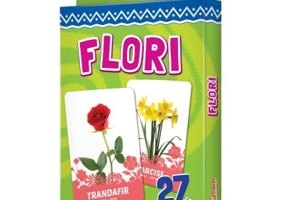 27 de cartonase. Flori