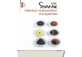 Sfantul nebuniilor incipiente - Elif Shafak