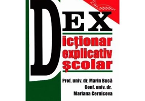 Dictionar explicativ scolar