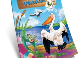 Lipim si coloram. Pasari