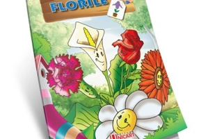 Lipim si coloram. Florile
