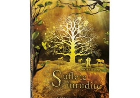 Misterul celor cu sange argintiu. Suflete inrudite