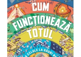 Cum functioneaza totul - DK