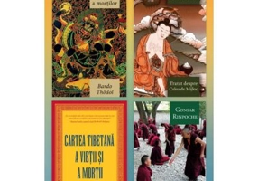 Pachet Textele esentiale ale budismului