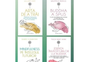 Pachet Introducere in meditatia si invataturile budismului