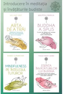 Pachet Introducere in meditatia si invataturile budismului