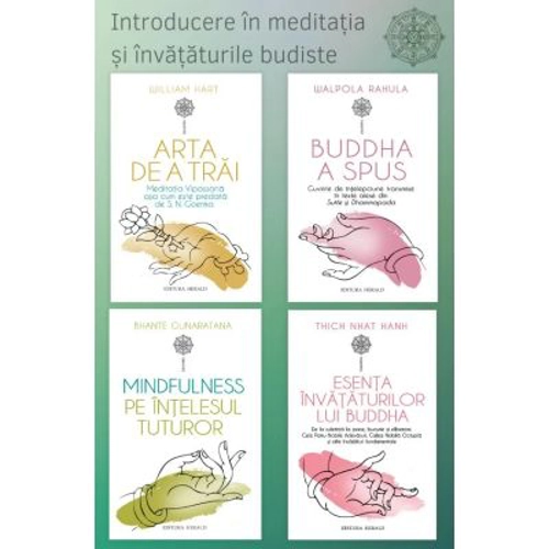 Pachet Introducere in meditatia si invataturile budismului