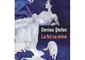 La fel ca mine - Denisa Stefan