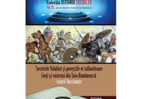 Secretele Valahiei si povestile ei tulburatoare. Cneji si voievozi din Tara Romaneasca - Dan-Silviu Boerescu