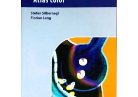 FIZIOPATOLOGIE. atlas color - Lang, Silbernagl