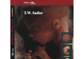 Langman Embriologie medicala - T. W. Sadler