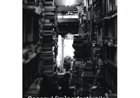 Canonul (im)perfectiunilor. Excurs comparatist - Ioana Pavel